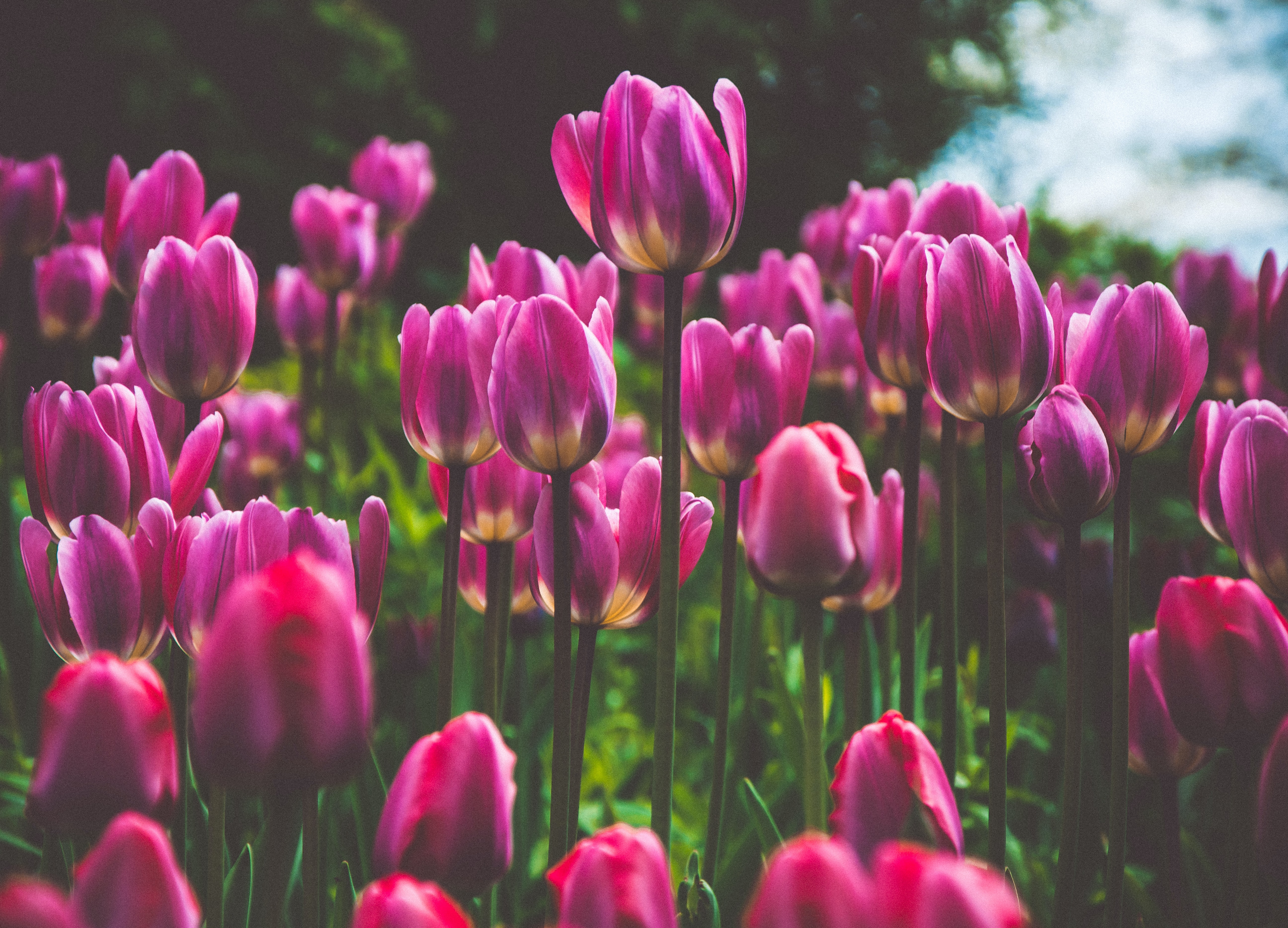 学校について調べてみた